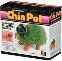Chia Pet Puppy